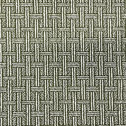 Image of BUCKRAM FERN