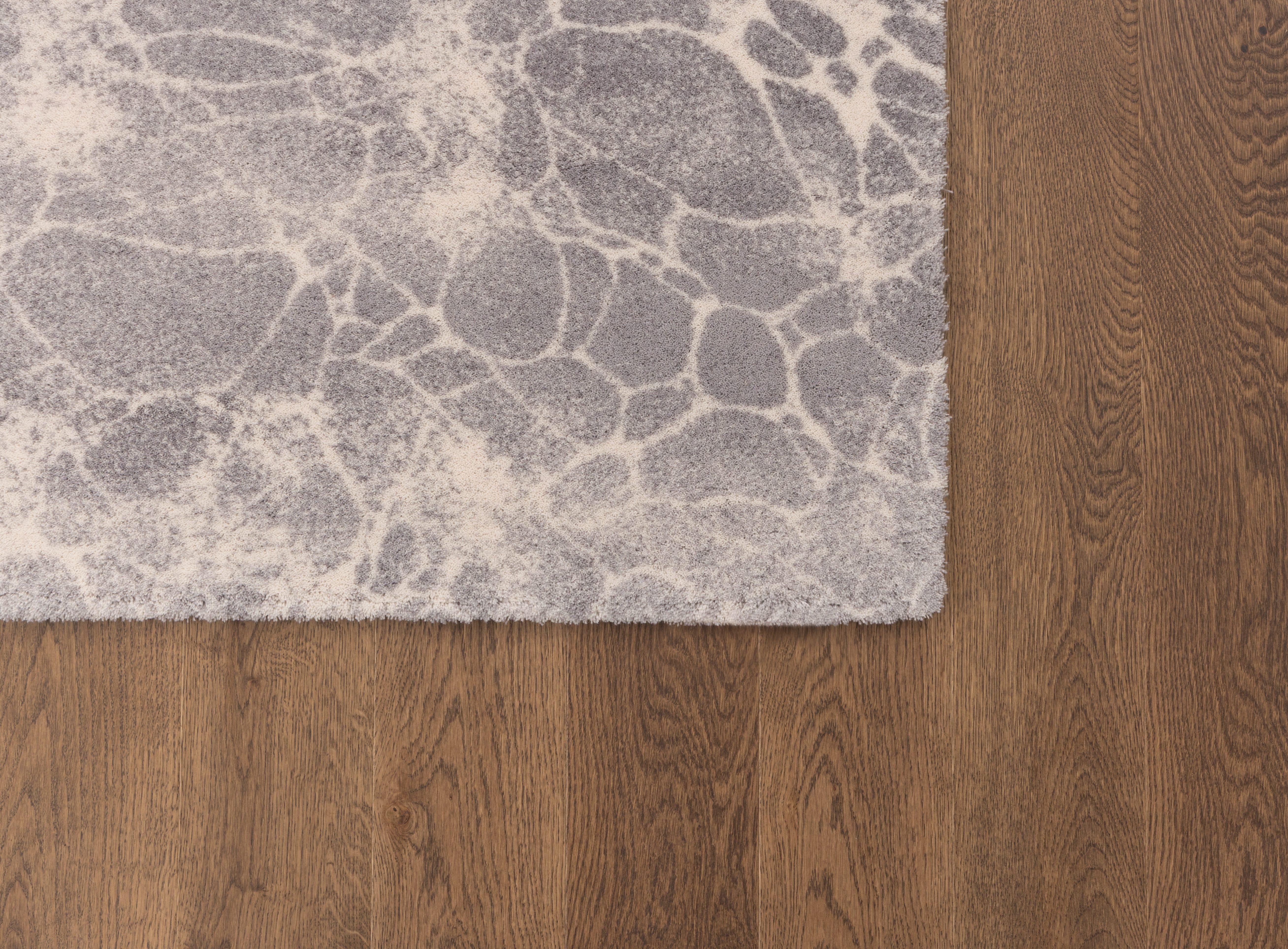 2nd image of ARISTO WHITE